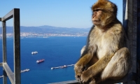 Excursión de 1 día a Gibraltar con salida de Cabanas de Tavira